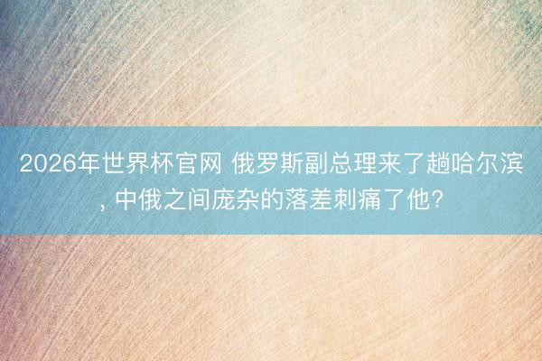 2026年世界杯官网 俄罗斯副总理来了趟哈尔滨， 中俄之间庞杂的落差刺痛了他?