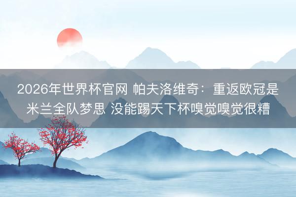 2026年世界杯官网 帕夫洛维奇：重返欧冠是米兰全队梦思 没能踢天下杯嗅觉嗅觉很糟