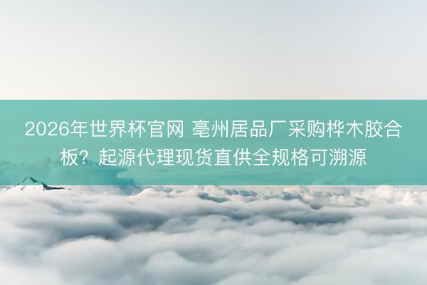 2026年世界杯官网 亳州居品厂采购桦木胶合板？起源代理现货直供全规格可溯源