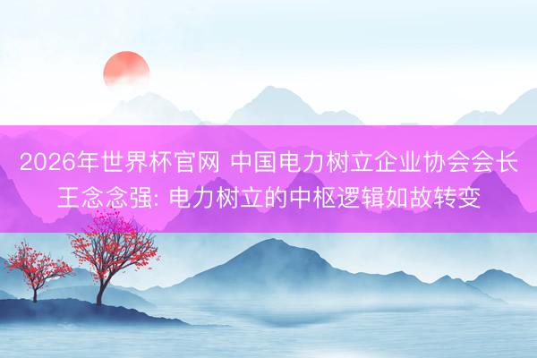 2026年世界杯官网 中国电力树立企业协会会长王念念强: 电力树立的中枢逻辑如故转变