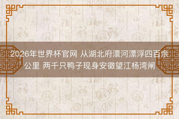 2026年世界杯官网 从湖北府澴河漂浮四百余公里 两千只鸭子现身安徽望江杨湾闸