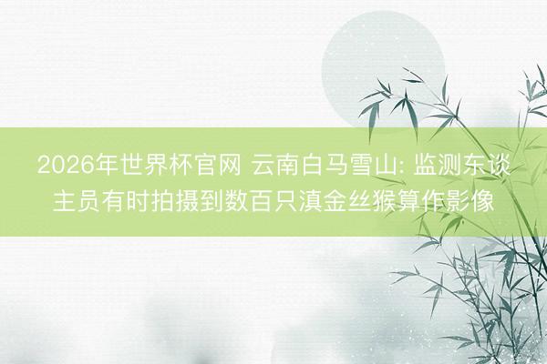 2026年世界杯官网 云南白马雪山: 监测东谈主员有时拍摄到数百只滇金丝猴算作影像