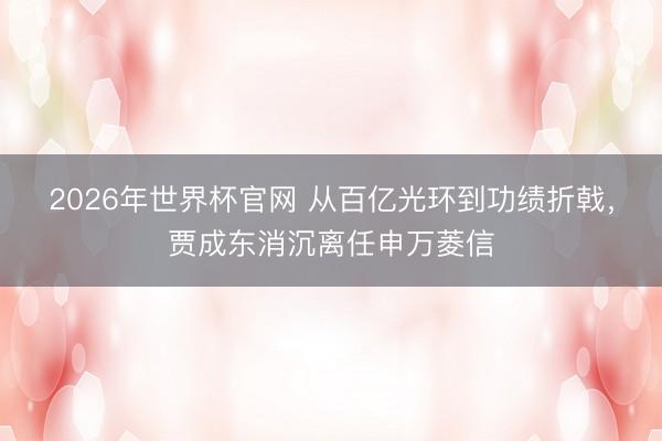 2026年世界杯官网 从百亿光环到功绩折戟，贾成东消沉离任申万菱信