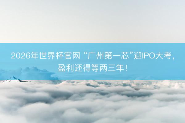 2026年世界杯官网 “广州第一芯”迎IPO大考，盈利还得等两三年！