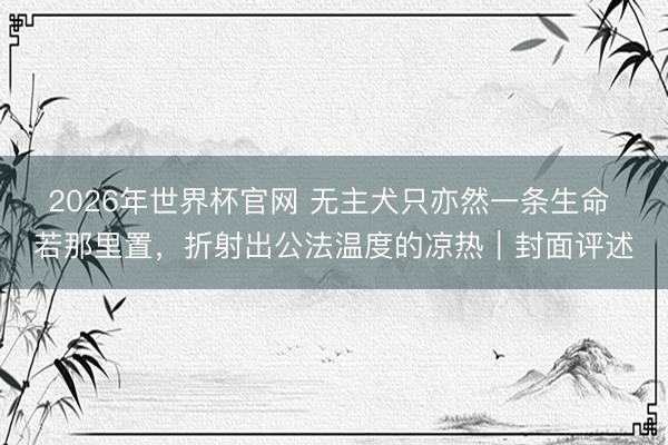 2026年世界杯官网 无主犬只亦然一条生命 若那里置，折射出公法温度的凉热｜封面评述