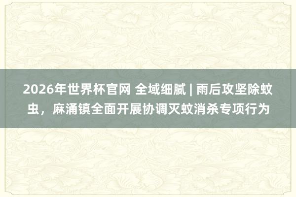 2026年世界杯官网 全域细腻 | 雨后攻坚除蚊虫，麻涌镇全面开展协调灭蚊消杀专项行为