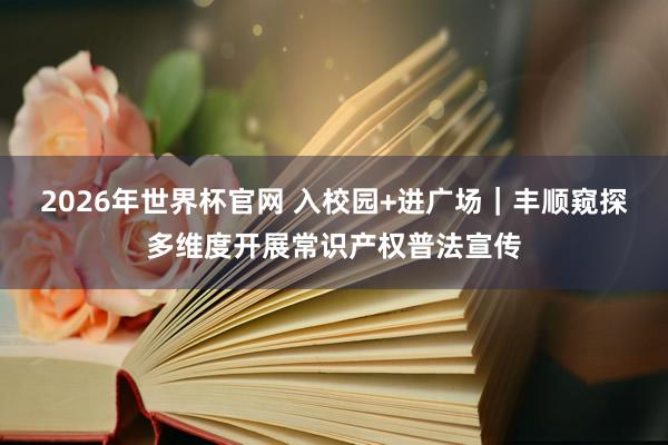 2026年世界杯官网 入校园+进广场|丰顺窥探多维度开展常识产权普法宣传