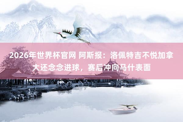 2026年世界杯官网 阿斯报:洛佩特吉不悦加拿大还念念进球,赛后冲向马什表面